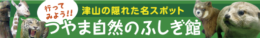 津山の隠れた名スポット　つやま自然のふしぎ館