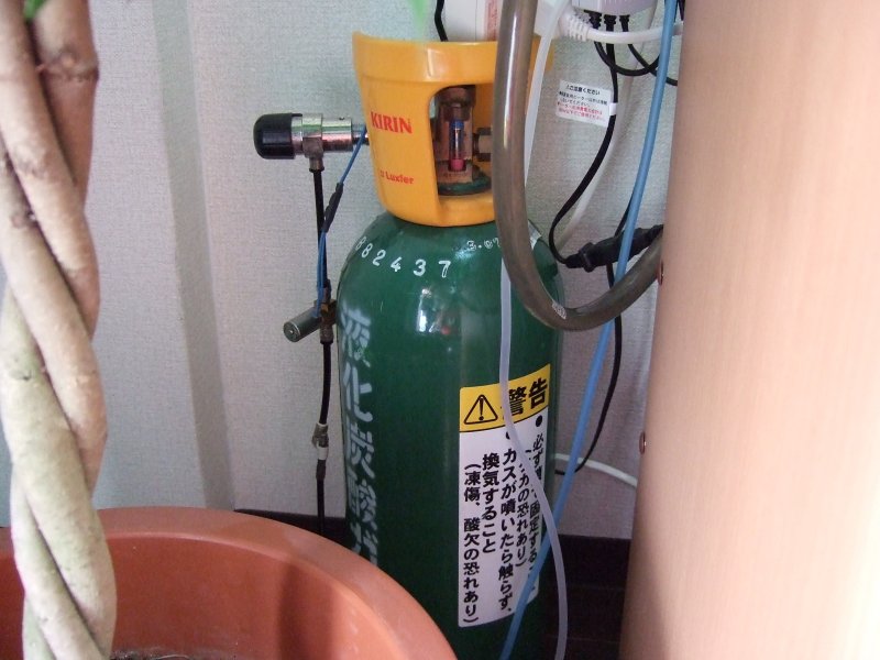 ミドボン
