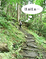 岩井滝　階段
