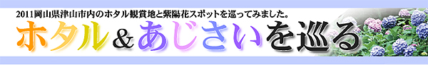 岡山県津山市2011年「ホタル＆紫陽花をめぐる」