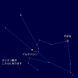 牡牛座・すばる