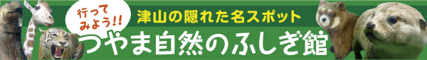 つやま自然のふしぎ館