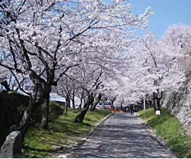 津山市　衆楽園