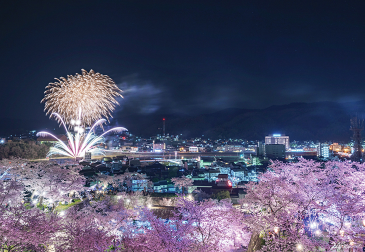 津山城から見る夜桜と花火の共演