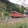 2012年11月10日スローライフ列車の旅(美作河井駅)