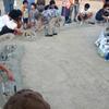 盆踊り大会と仏送り(西小学校)