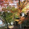 津山城(鶴山公園)の紅葉