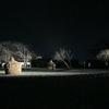 津山城(鶴山公園)ライトアップ(本丸の夜景)