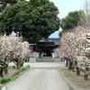 八出天満宮の梅の花