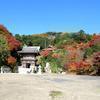 夢中山幻住寺の紅葉がとっても綺麗でした。