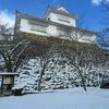 津山城(鶴山公園)の冬景色2017