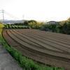 畑を見て農業も芸術だと感動しました。