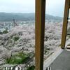 2017年津山さくらまつり
