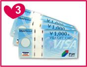 3.VISA���i��3,000�~��