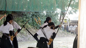 800_69.jpg