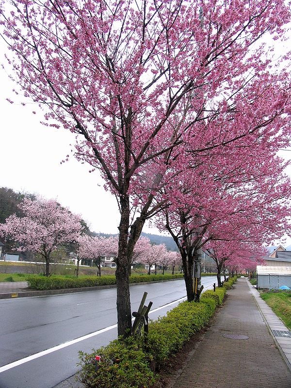 東一宮・宮川沿い（4）