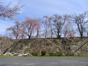 鶴山公園の頂上