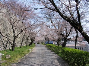 南側（鶴山公園）