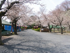 鶴山公園内