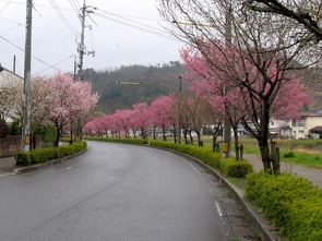 東一宮・宮川沿い（1）