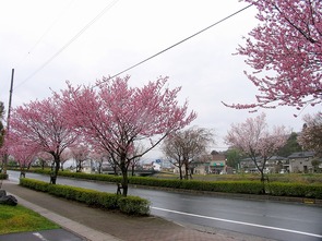 東一宮・宮川沿い（2）