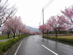 東一宮・宮川沿い（3）