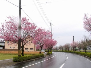 東一宮・宮川沿い（5）