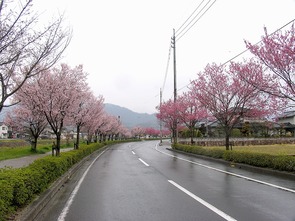 東一宮・宮川沿い（6）