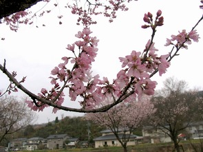 東一宮・宮川沿い（8）