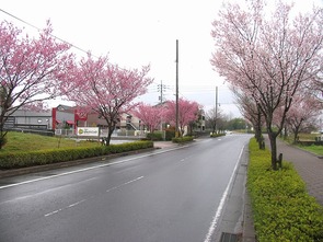 東一宮・宮川沿い（9）