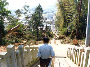 川崎八幡2003.11.07-2.jpg