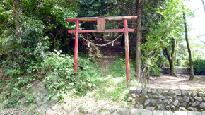 torii.jpg