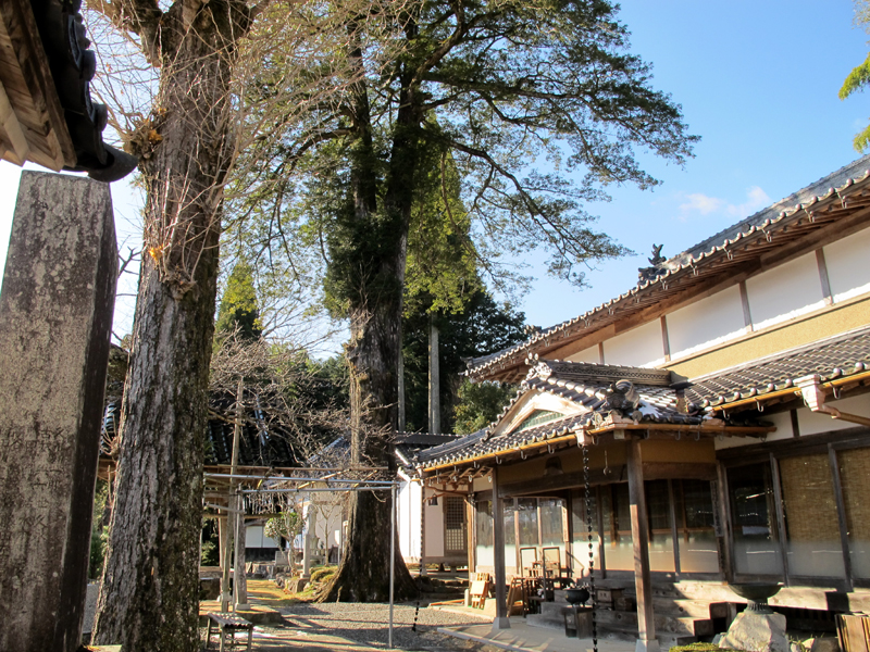 無量山 極楽寺（津山市加茂町） - 津山瓦版