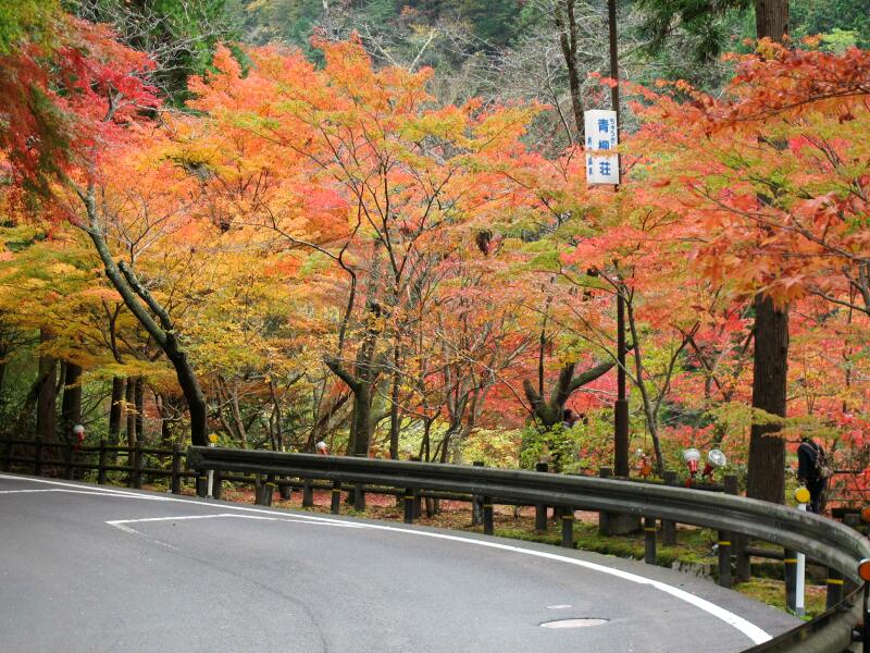 奥津渓のもみじが綺麗でした 津山瓦版