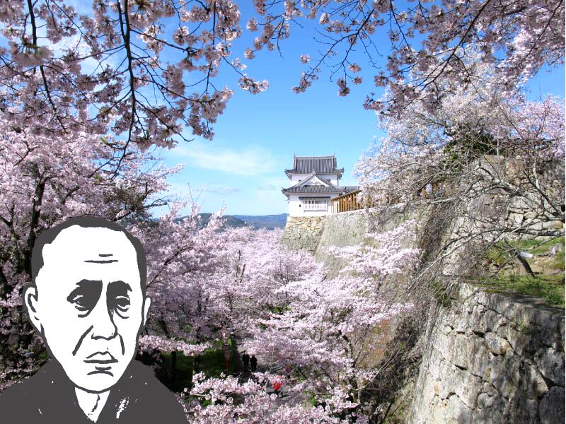 津山人】桜の植樹に心血を注いだ福井純一 - 津山瓦版