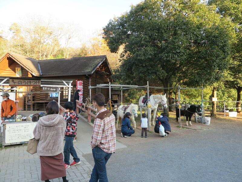 おかやまファーマーズ マーケット ノースヴィレッジ 津山瓦版