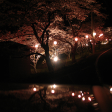 ウッドパーク声ヶ乢の夜桜