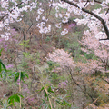 大谷の石山寺上り口