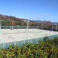 津山西部公園にはテニス場があります。