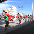 雛めぐり「津山駅・おたふく旅館・江川・えとあーと」