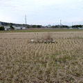 女院畔（にょいんぐろ）【津山市院庄地区】