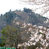篠山城跡【さら山地区】