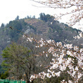 篠山城跡【さら山地区】