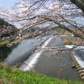 嵯峨井堰・嵯峨用水【さら山地区】