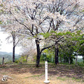 岩屋城跡（岡山県指定史跡）