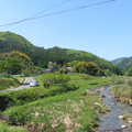 倉見川の広瀬橋附近のホタル生息地