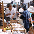 津山・城西まるごと博物館フェア2011