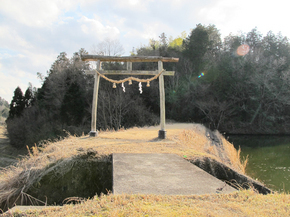 torii.jpg