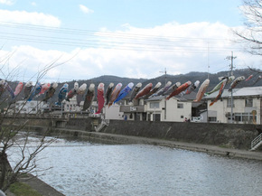 koinobori.jpg