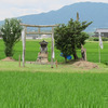 田熊 田んぼの中に祀られている祇園様